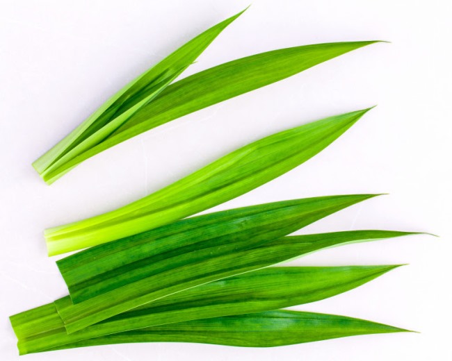 Khử m&ugrave;i h&ocirc;i thối, ẩm mốc bằng l&aacute; dứa