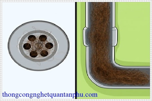 Ảnh hưởng của rong r&ecirc;u trong đường ống sinh hoạt